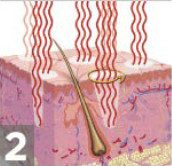 skin-inside step 2